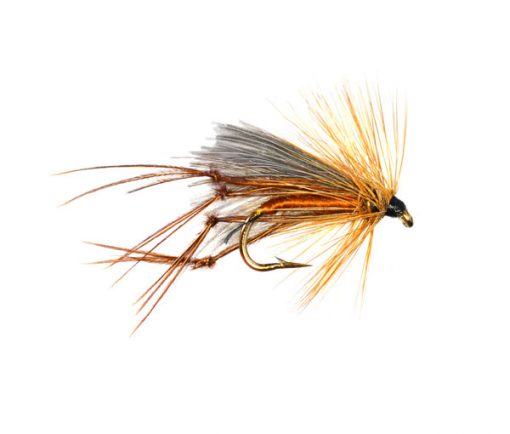 CDC Fiery Brown Leggy Hopper
