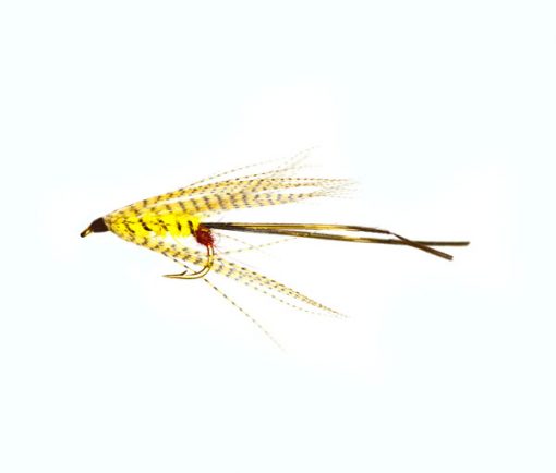 Kilkenny Mayfly Special Wet Fly