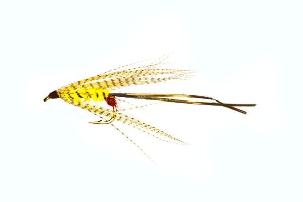 Kilkenny Mayfly Special Wet Fly