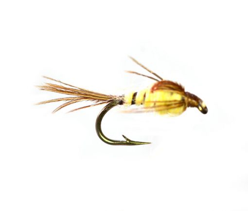 May Fly Weighted Trout Nymph