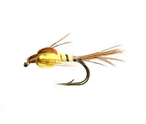 May Fly Weighted Trout Nymph