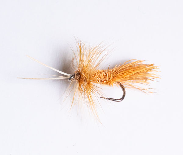10 X Sedge Goddard White Dry Flies – H10/12/14/16 – Mother-of-Pearl – River Fishing