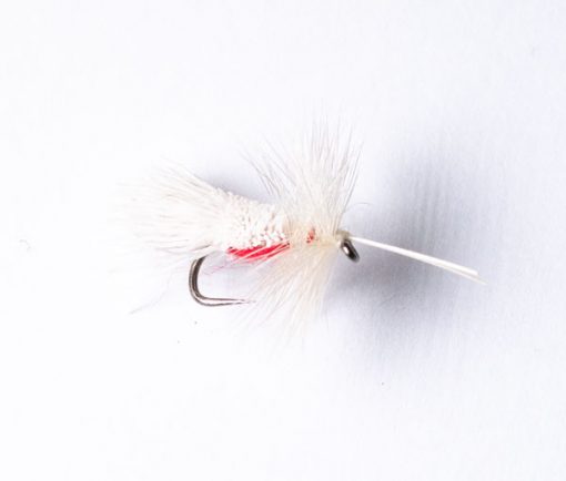 Lancaster's Goddard Sedge White with Red Belly Dry Sedge Fly