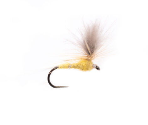 Late Afternoon Sulphur CDC Parachute