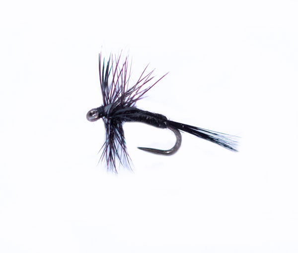 Black Micro Midge Winged