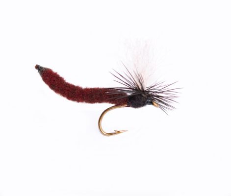 Midnight Palamino Midge Para